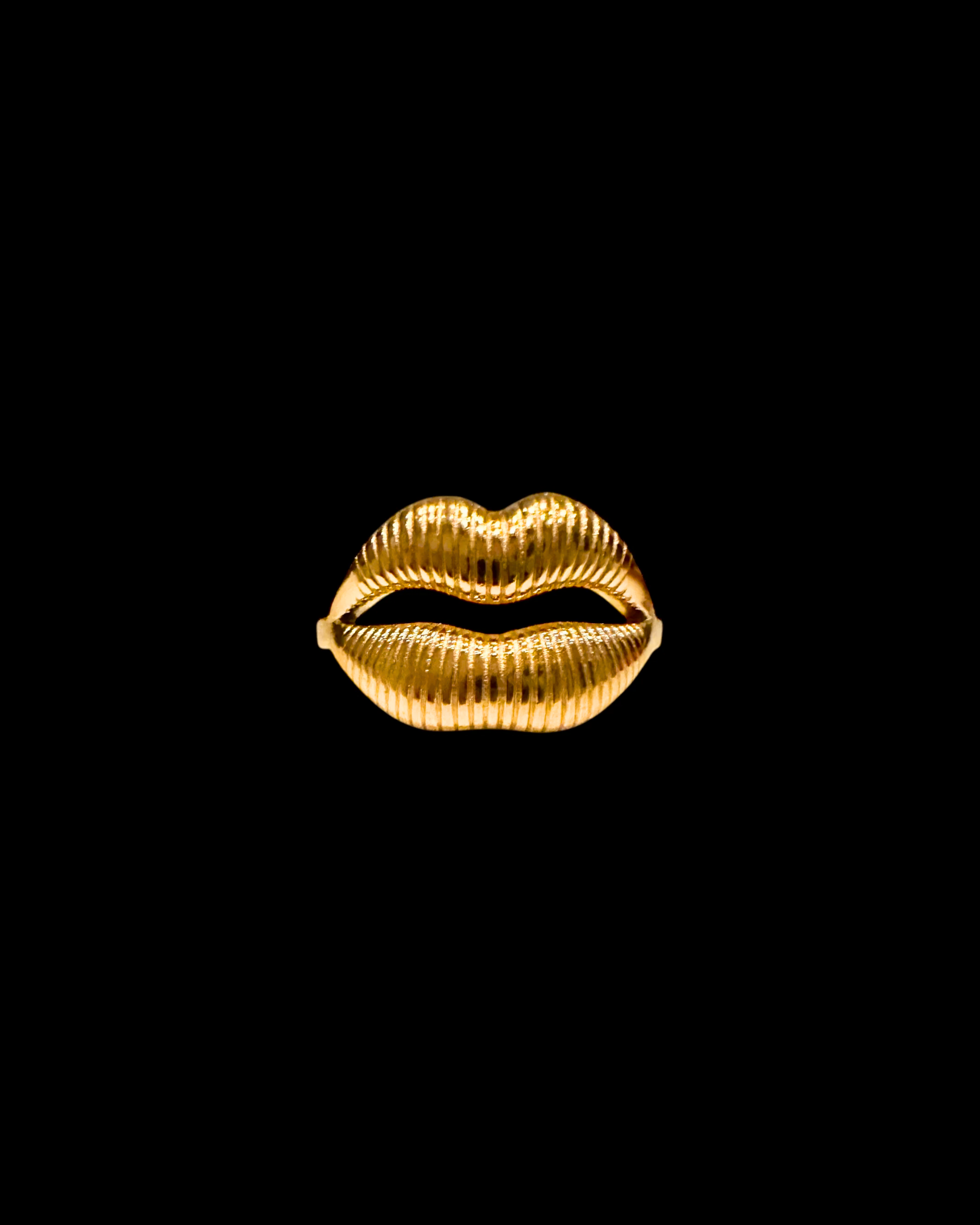 Quirky Lip Ring