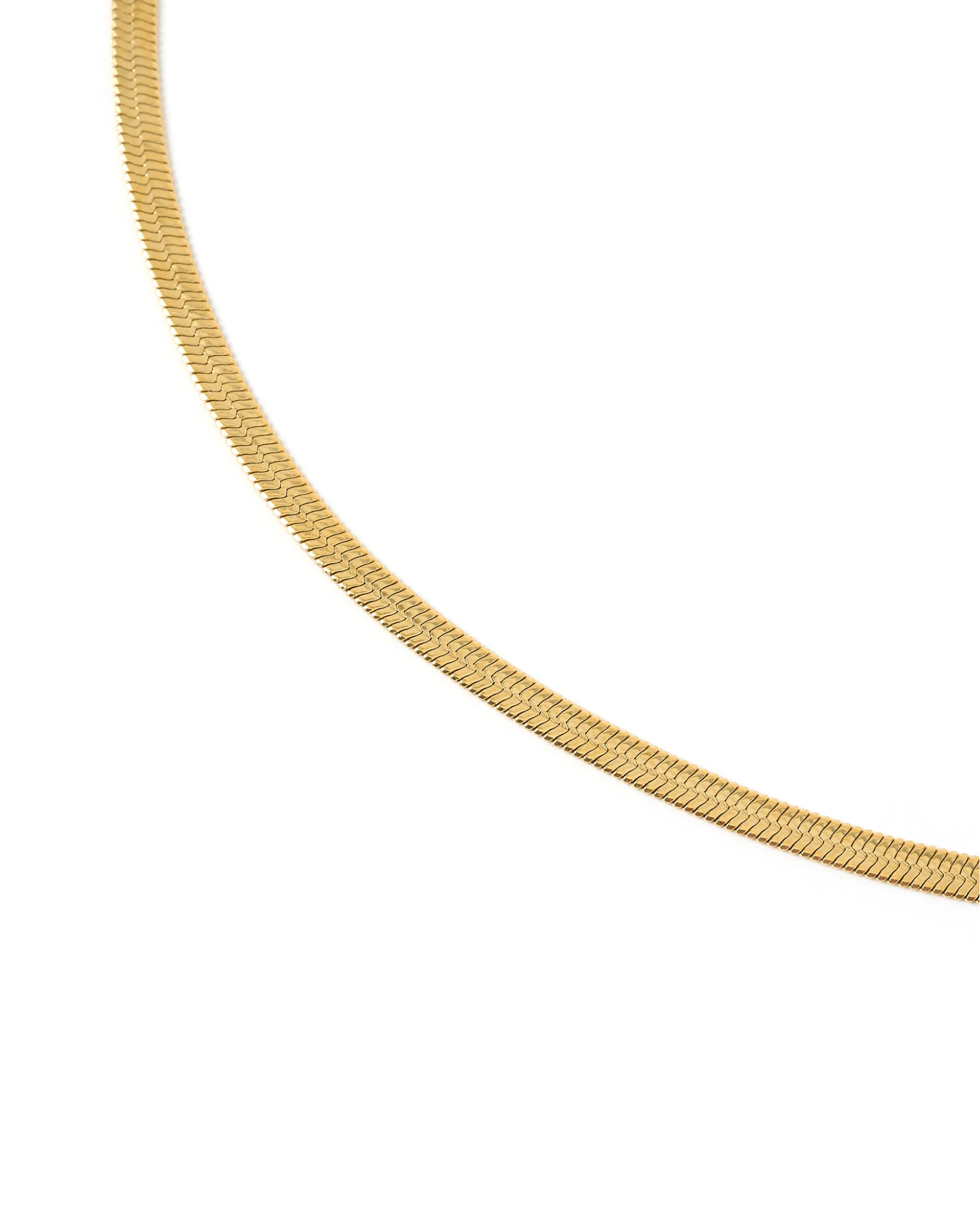Gabbana Snake Necklace