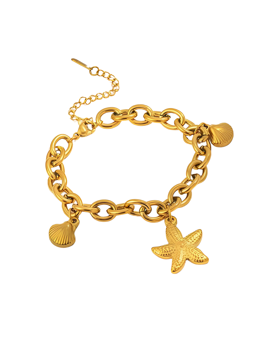 Sea shell and star bracelet